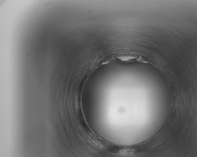 X0000080110700200612221805