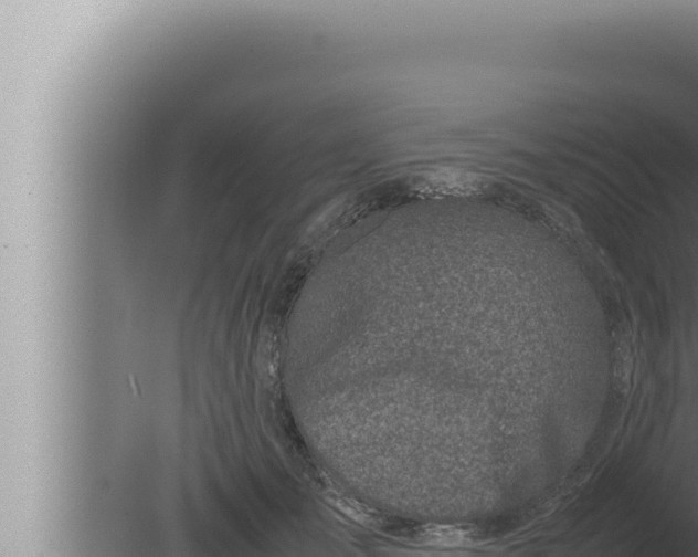 X0000080110701200612221805