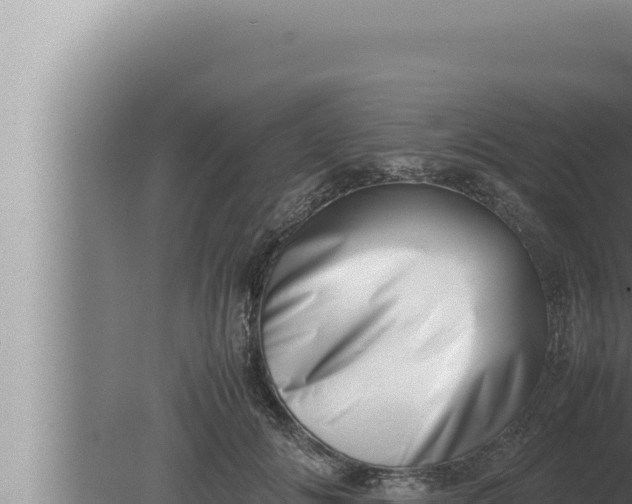 X0000080110702200612221805