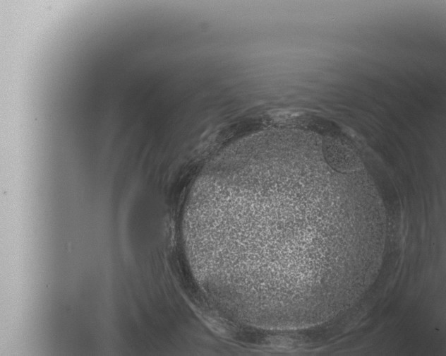 X0000080110703200612221805