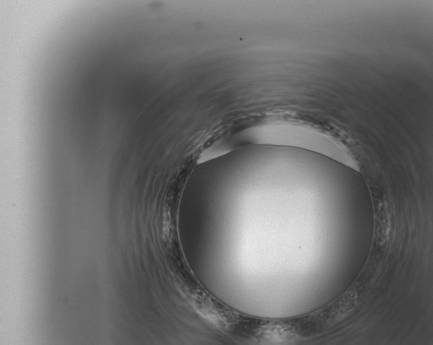 X0000080110704200612221805