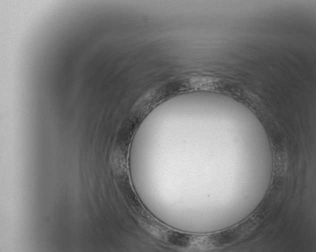 X0000080110705200612221805