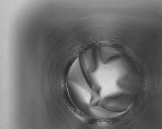 X0000080110706200612221805