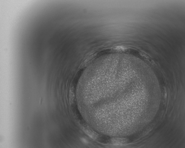 X0000080110707200612221805