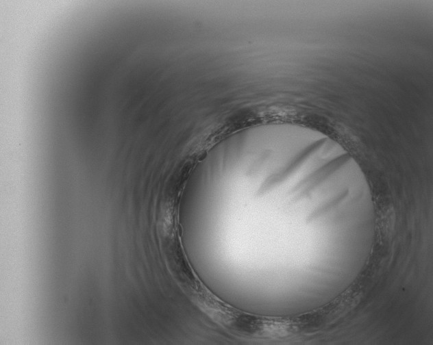 X0000080110709200612221805