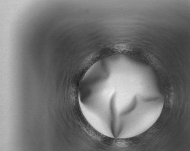 X0000080110710200612221805