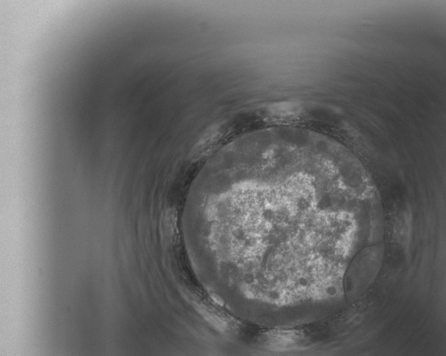 X0000080110711200612221805