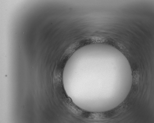 X0000080110713200612221805