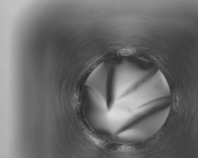 X0000080110714200612221805