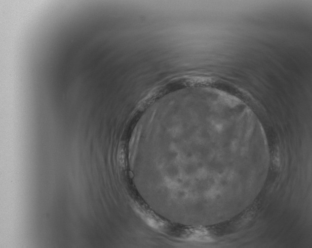 X0000080110715200612221805