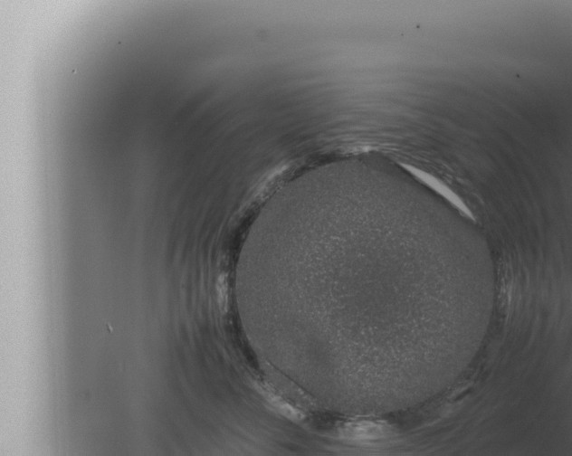 X0000080110716200612221805