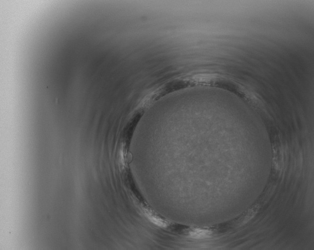 X0000080110718200612221804