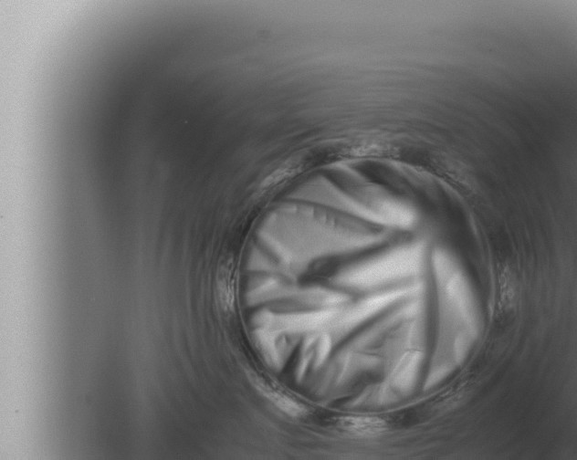 X0000080110719200612221804