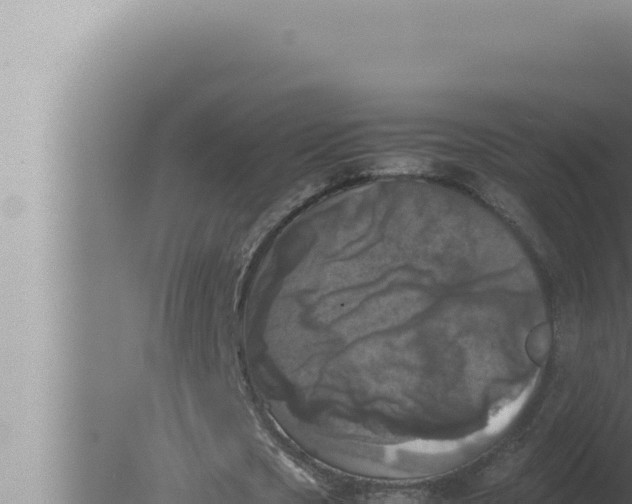 X0000080110721200612221804