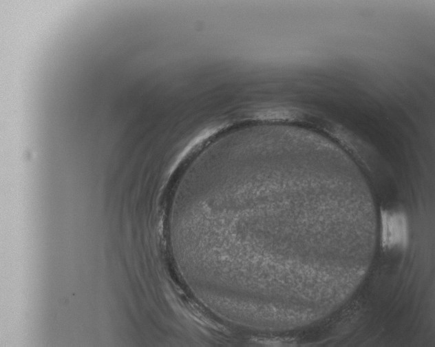 X0000080110723200612221804