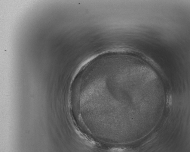 X0000080110724200612221804