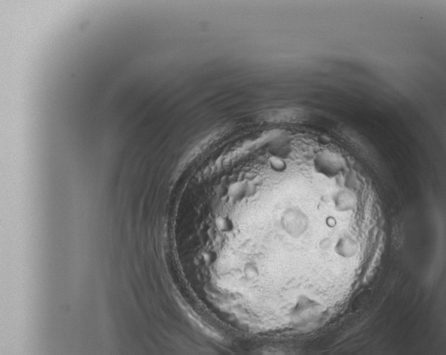 X0000080110725200612221804