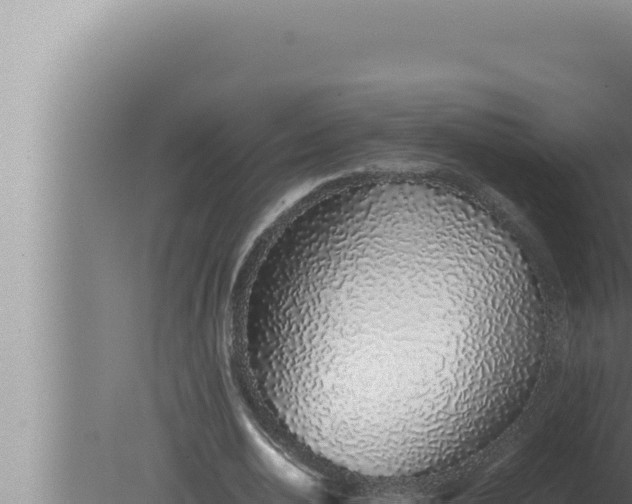 X0000080110726200612221804