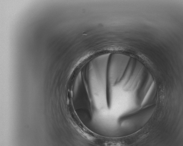 X0000080110727200612221804