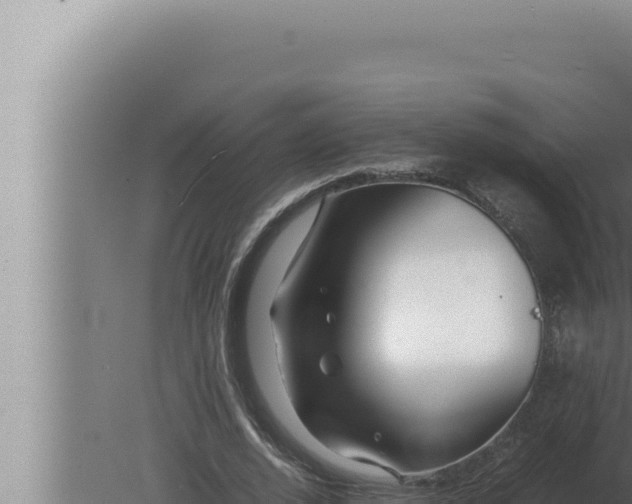 X0000080110728200612221804