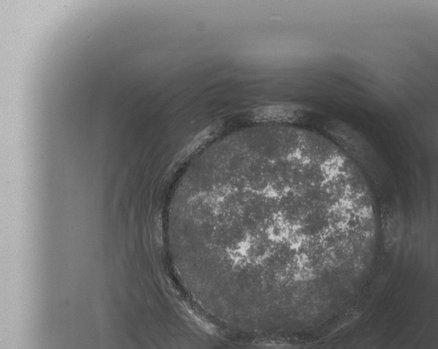 X0000080110729200612221804