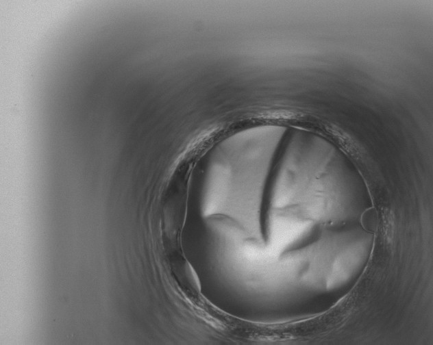 X0000080110731200612221804