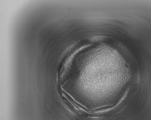 X0000080110733200612221804