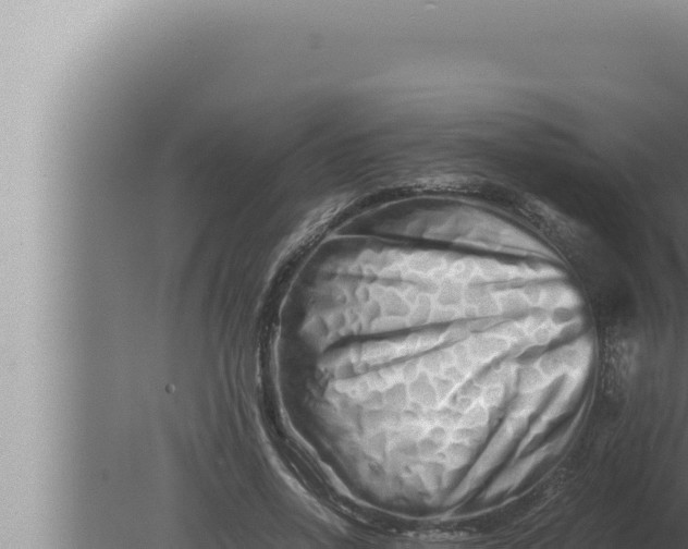 X0000080110734200612221804