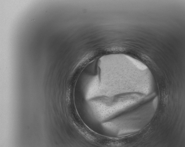 X0000080110735200612221804