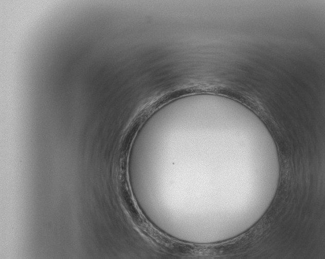 X0000080110736200612221804