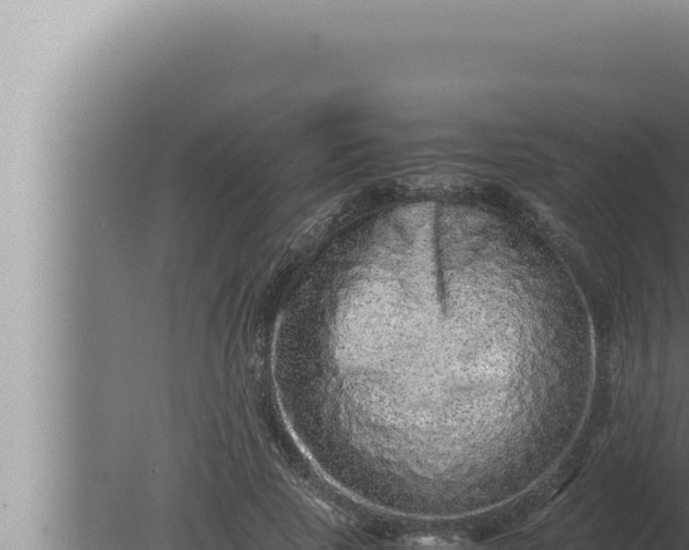 X0000080110737200612221804