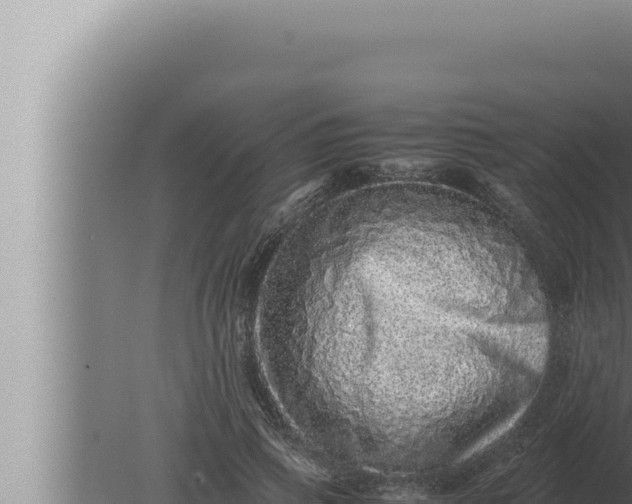 X0000080110741200612221804