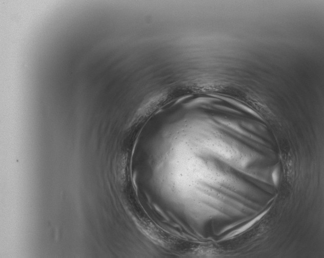 X0000080110742200612221804