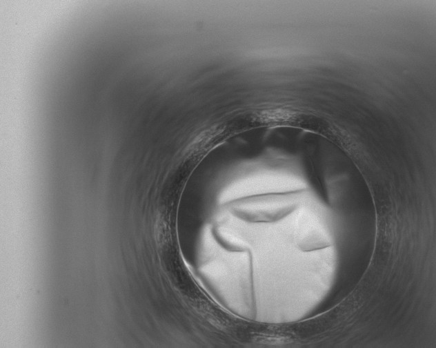 X0000080110743200612221804