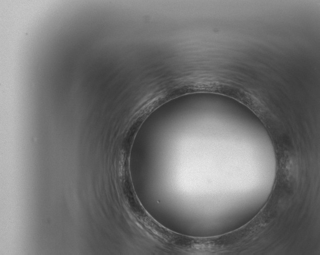 X0000080110744200612221804