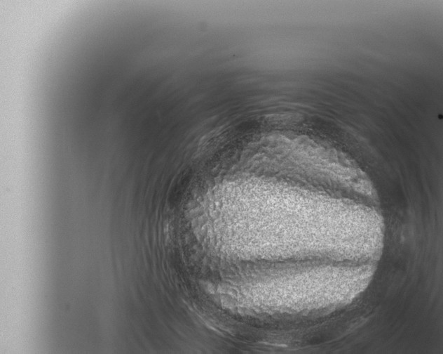 X0000080110745200612221804