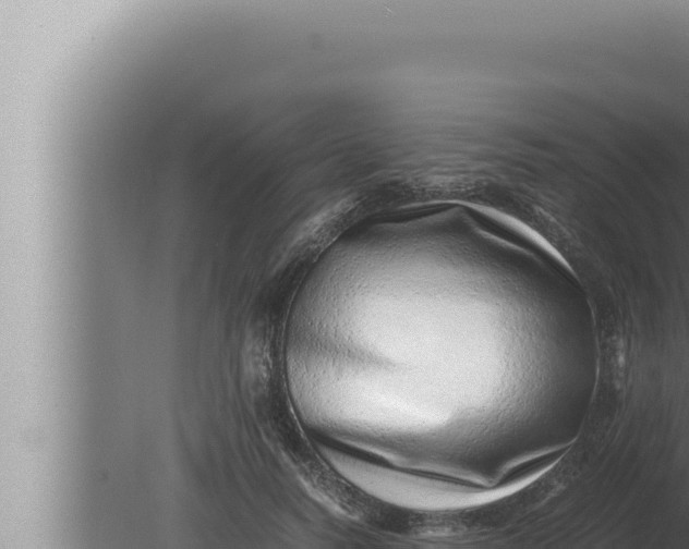 X0000080110746200612221804