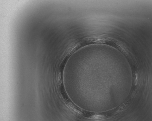 X0000080110748200612221804