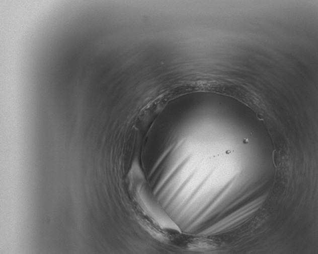 X0000080110750200612221804