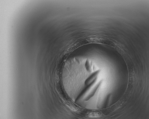 X0000080110751200612221804