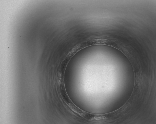 X0000080110752200612221804