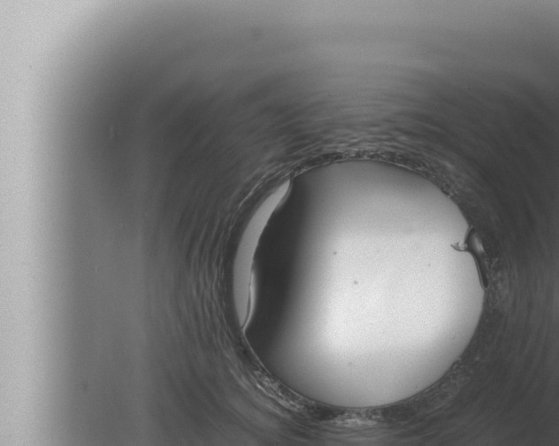 X0000080110756200612221804