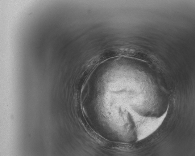 X0000080110757200612221804