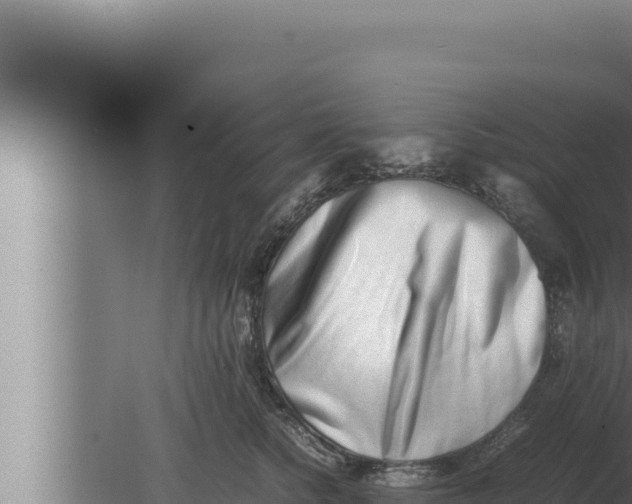 X0000080110758200612221804