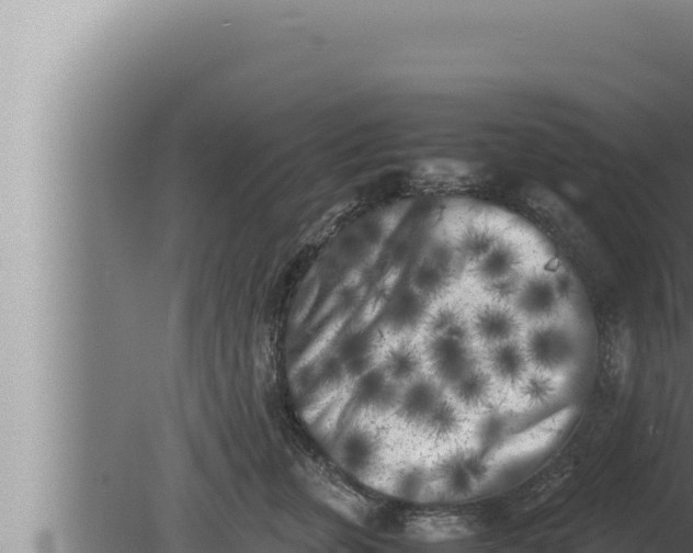 X0000080110759200612221804