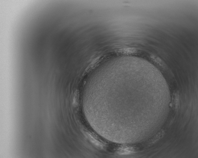 X0000080110760200612221804