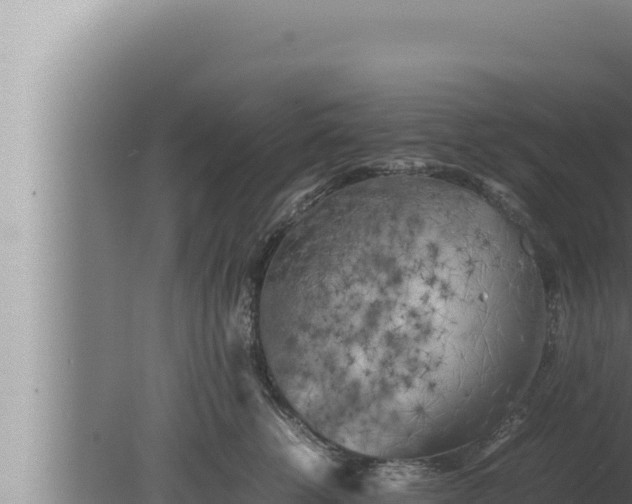 X0000080110762200612221804