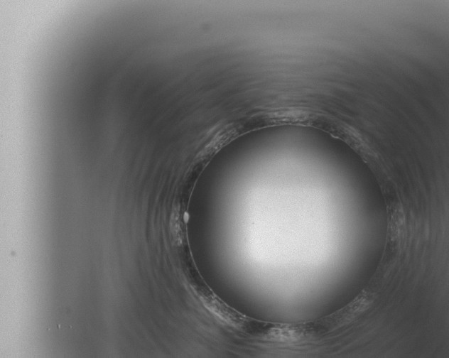 X0000080110764200612221804