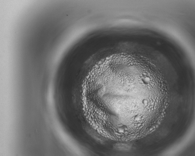 X0000080110765200612221804