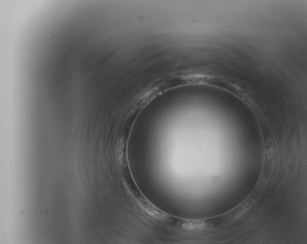 X0000080110767200612221804